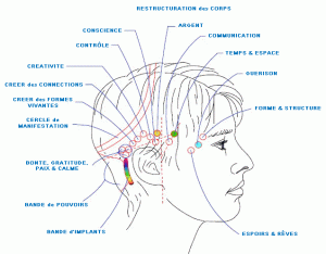 Schéma-tête-Access-Bars-1